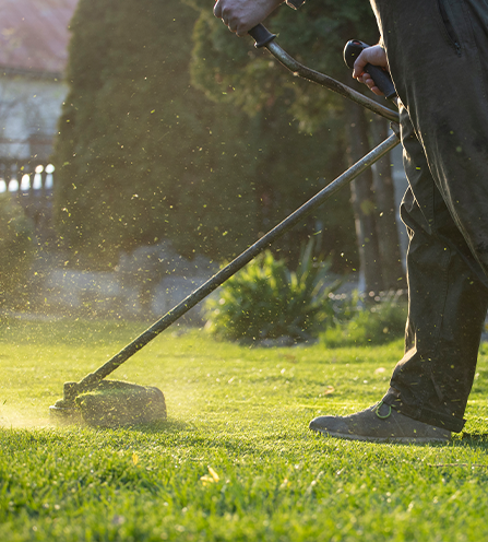 Hondueza Lawn Services